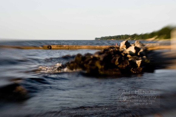 LensBaby Fun - July 9, 2010