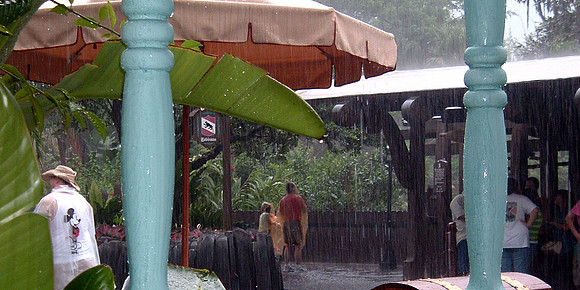 Rainy Day