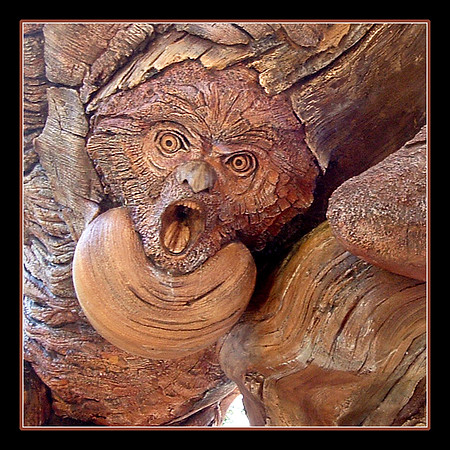 Animal Kingdom-Tree of LIfe carving