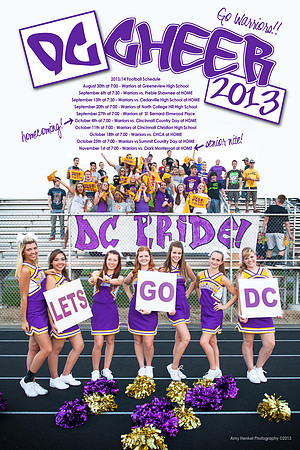 2013-2014 DCHS Football Cheerleaders