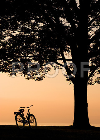 Bicycle Silhouette