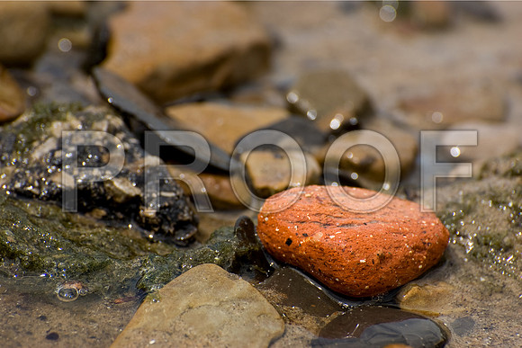 The Beach Rocks