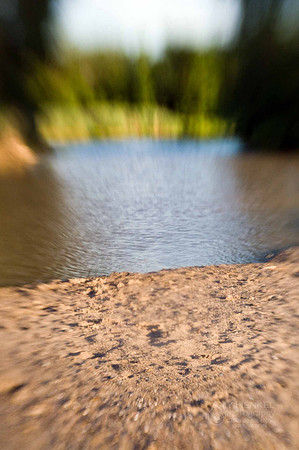 LensBaby Fun - July 9, 2010