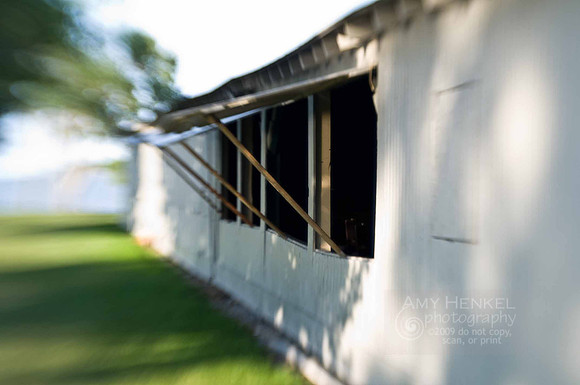LensBaby Fun - July 9, 2010